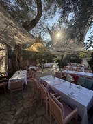 beloved successful traditional taverna - 2