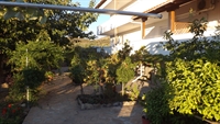 small established boutique hotel - 2