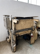 established greek olive oil - 2