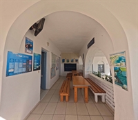 dive centre antiparos - 1