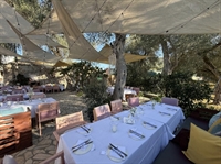 beloved successful traditional taverna - 1